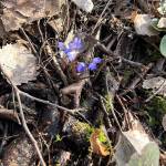 Andrius Andrius Profile Picture