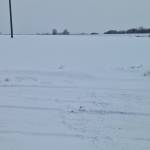 Volvo profile picture