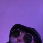 Justas Sniokaitis Profile Picture