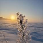 Povilas Povilas profile picture